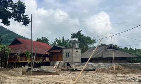 Hơn 100.000 m³ cát trôi vào ngôi làng tại Lào Cai trị giá khoảng 20- 30 tỷ đồng