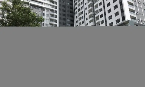Chốt lời cổ phiếu Vinhomes, một công ty bất động sản báo lãi đậm
