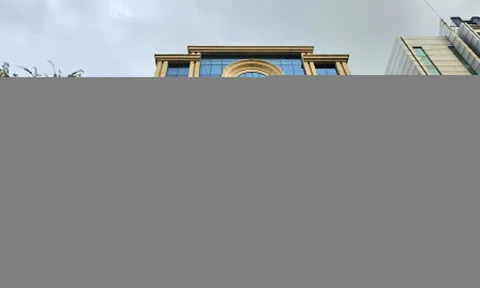 Vợ ông Bùi Thành Nhơn muốn bán bớt cổ phiếu Novaland