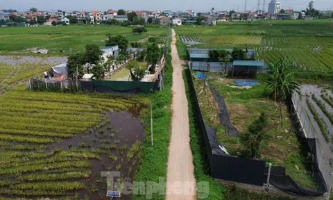 Hà Nội đề xuất tăng giá đất cao nhất 26%: Bảng giá đất mới cần ở mức trung lập