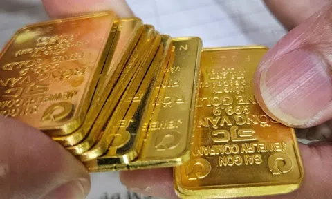Sáng 29-10, giá vàng miếng SJC, vàng nhẫn tăng trở lại