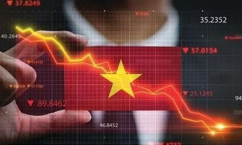 IPO tại Việt Nam: Từ hành trình chiến lược đến niêm yết hiệu quả