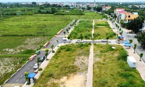 Thị trường đất đấu giá hạ nhiệt sau cơn sốt điên cuồng hơn 1 năm trước