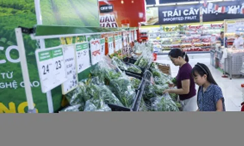 Chủ chuỗi WinMart+ tính mở 1.500 cửa hàng mới năm 2026