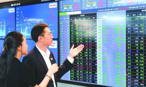 Loạt chỉ số chứng khoán quan trọng: VN-Index, HNX-Index và UPCoM có ý nghĩa gì?