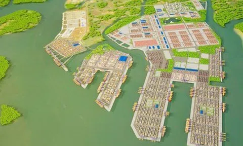 TP HCM đề xuất 21 chính sách cho khu thương mại tự do Cái Mép Hạ 3.800 ha