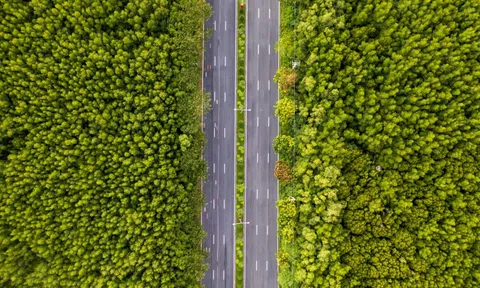 Sở Xây dựng TP.HCM: Phấn đấu cuối năm khởi công metro đi Cần Giờ