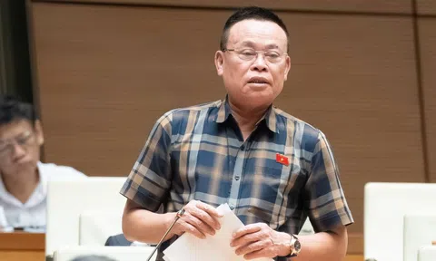 Chủ tịch Dabaco: Đưa dòng tiền trở lại nền kinh tế thực, tránh đầu cơ