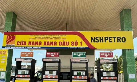 Bắt Phó Tổng Giám đốc Công ty Dầu khí Nam Sông Hậu