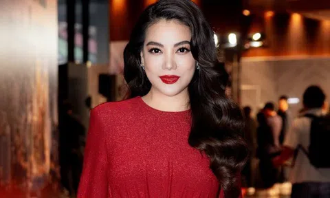 Vụ Trương Ngọc Ánh bị bắt: Doanh nghiệp do nữ diễn viên từng làm Chủ tịch chỉ có 3 lao động nhưng “nhận” góp vốn 9,1 triệu USD từ nhà đầu tư nước ngoài