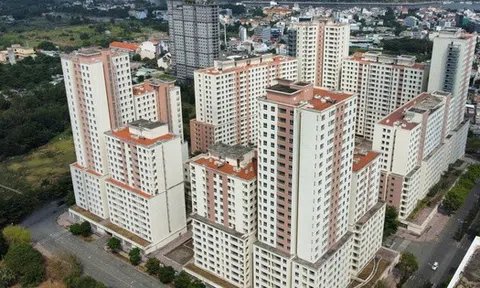 Phải xử lý mạnh hơn nữa với những người trúng đấu giá đất rồi bỏ cọc