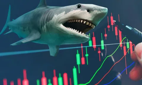 Vì sao loạt “cá mập”, “cá voi” đua nhau tham gia Chứng Trường Bạc Tỷ mùa 2?