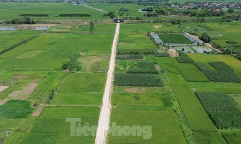 Lo khó giải phóng mặt bằng vì giá đất nông nghiệp dự kiến cao nhất 290.000 đồng/m2