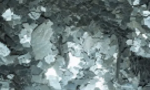 Chính phủ Mỹ ký thỏa thuận 1,4 tỷ USD với hai startup đất hiếm