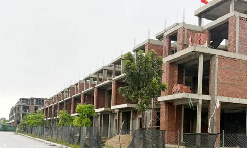 Tập đoàn Sơn Hải lên tiếng sau thông tin 'thanh tra nêu sai phạm'