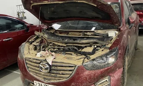 Bảo hiểm chi trả hàng trăm tỉ đồng tiền bồi thường thiệt hại do bão, lũ