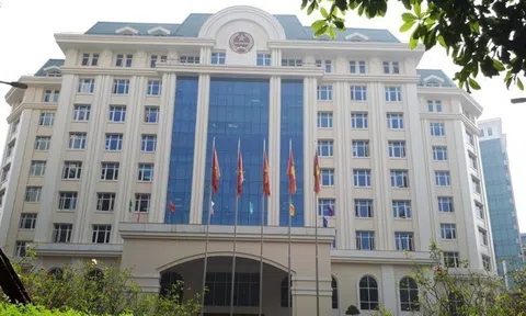 Xóa bỏ thuế khoán, chuyển sang kê khai: Ngành Thuế 'cầm tay chỉ việc', hỗ trợ hộ kinh doanh tối đa