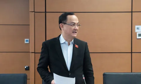 Đề nghị xếp doanh nghiệp FDI báo lỗ trên 3 năm vào nhóm rủi ro cao