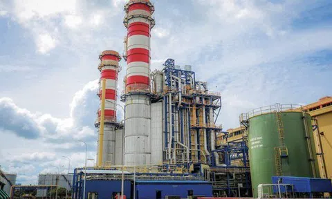 Dragon Capital trở lại ghế cổ đông lớn tại Hóa chất Đức Giang