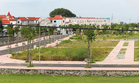 HoREA đề xuất nâng mức xử phạt với người bỏ cọc đất đấu giá