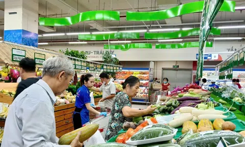 Rau xanh tại Đà Nẵng khan hiếm, giá tăng gấp 2–3 lần