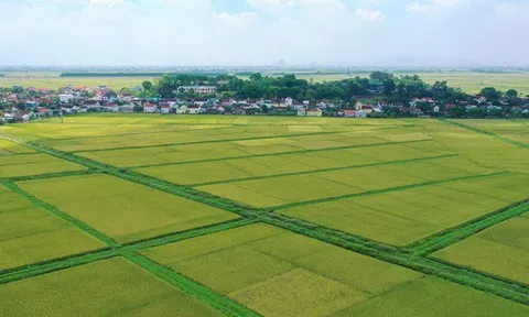 Đối tượng nào được miễn thuế sử dụng đất nông nghiệp đến hết năm 2030?