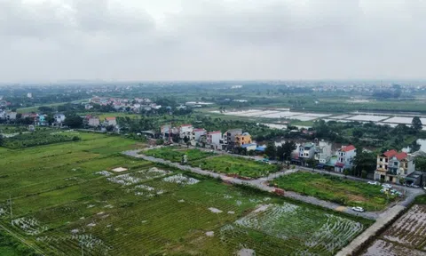 Kéo dài miễn thuế sử dụng đất nông nghiệp thêm 5 năm