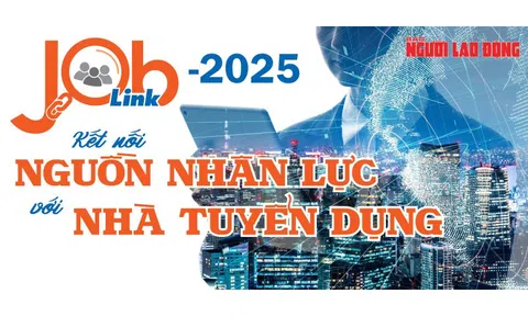 Job Link 2025: Kết nối nguồn nhân lực với nhà tuyển dụng