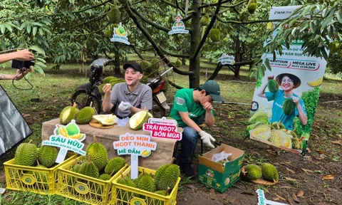 Kinh nghiệm bán hàng tiếp thị liên kết