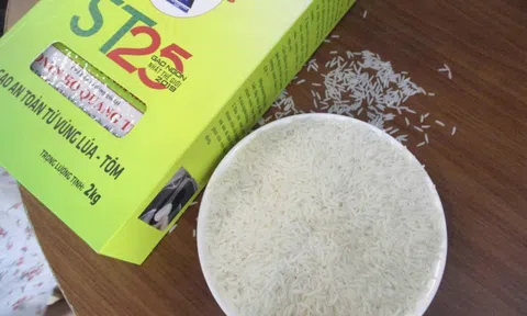 Gạo ST 25 lần thứ 3 thắng giải "gạo ngon nhất thế giới"