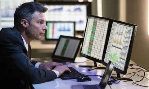 Phiên 10/11: Khối ngoại giảm đà bán ròng, ngược chiều tung hơn 400 tỷ gom một mã Bluechips