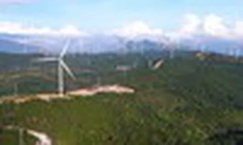 Cổ phiếu cần quan tâm ngày 14/11