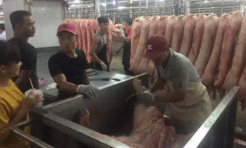 Giá heo cuối năm khó tăng đột biến