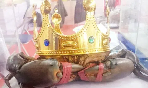 Thông tin mới quan trọng về tìm "vua cua" Cà Mau