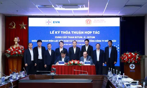 EVN và Tổng công ty Đông Bắc hợp tác bảo đảm nguồn than cho ngành điện