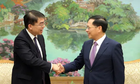 Phó Thủ tướng Bùi Thanh Sơn tiếp Giám đốc điều hành Tập đoàn Warburg Pincus