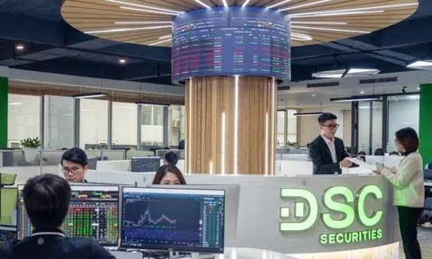 Chứng khoán DSC bị HoSE nhắc nhở do chậm công bố thông tin