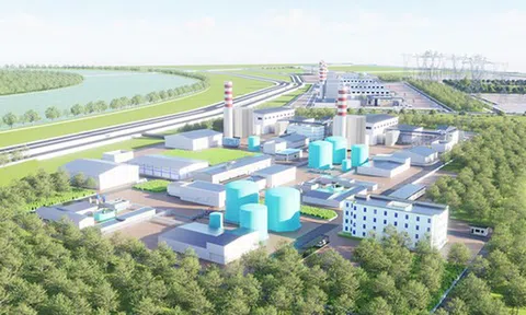 Danh tính cổ đông ngoại sở hữu 5% vốn điều lệ VinEnergo