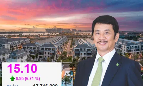 Novaland làm sao thế?