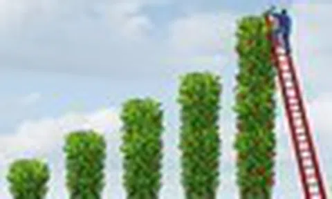 Góc nhìn kỹ thuật phiên giao dịch chứng khoán ngày 14/11: Hướng tới vùng 1.650 điểm