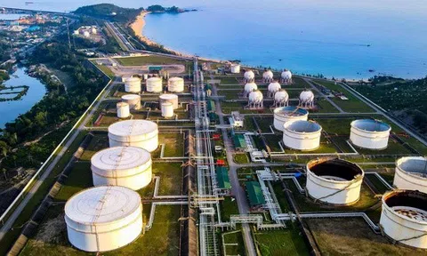 Lọc hóa dầu Bình Sơn bị cảnh cáo vì chậm nộp hồ sơ khai thuế