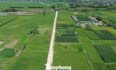 Hà Nội: Cử tri kiến nghị 'nới' quy định về tách thửa