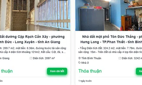 Ngân hàng lớn rao bán loạt nhà phố tại Đà Nẵng, Khánh Hòa, Đồng Nai, An Giang, Thái Bình