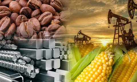 THỊ TRƯỜNG HÀNG HÓA: Ca cao rớt giá, ngô phục hồi nhẹ