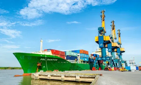 Về đích sớm, doanh nghiệp sở hữu đội tàu container lớn nhất Việt Nam muốn nâng kế hoạch lợi nhuận lên trên 1.100 tỷ