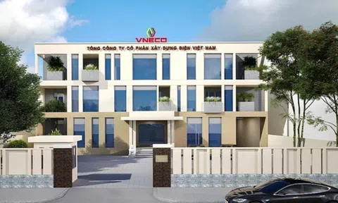 VNECO bị nhắc nhở do chậm công bố thông tin