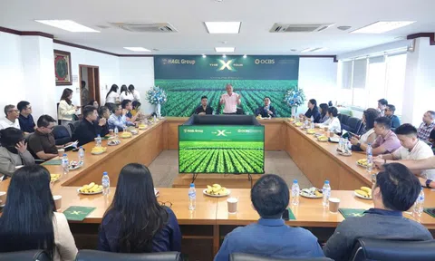 Sự trở lại của HAGL và dấu ấn “kiến trúc sư” OCBS trong bức tranh chiến lược mới