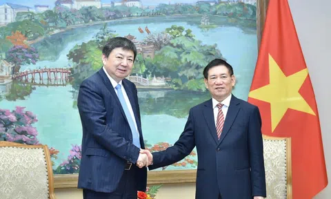 Phó thủ tướng đề nghị tập đoàn Trung Quốc tăng đầu tư vào Việt Nam