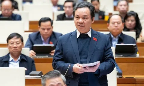 Đại biểu Quốc hội: Ngưỡng chịu thuế với hộ kinh doanh tối thiểu phải từ 500 triệu - 1,5 tỷ đồng