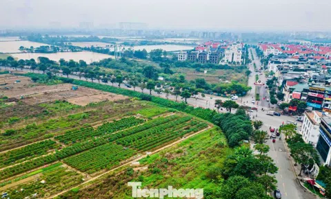 Hiện trạng khu đất làm công viên, quảng trường nhạc nước gần 100ha ở Hà Nội